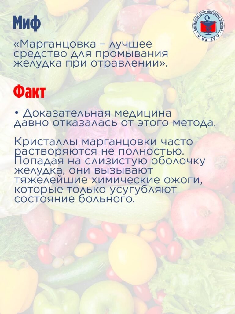 Жайкы тамак-ашка уулануулар: Кыргызстанда анын алдын алуу чаралары эскертилди — иллюстрация