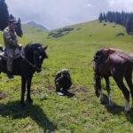 Ысык-Көл облусунда 41 миңден ашык суур катталды — Новости Кыргызстана