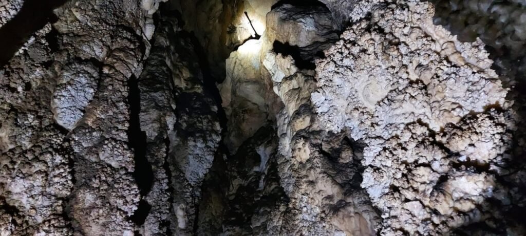 Жаратылыш парктары, токойлор жана үңкүрлөр: Оштогу бир күндүк турлар — фото 8