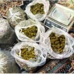 Из Таиланда в Кыргызстан пытались ввезти более 7,5 кг марихуаны — Новости Кыргызстана