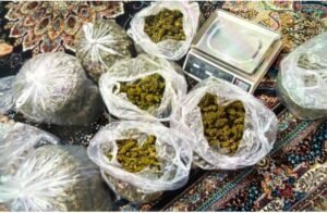 Из Таиланда в Кыргызстан пытались ввезти более 7,5 кг марихуаны — Новости Кыргызстана