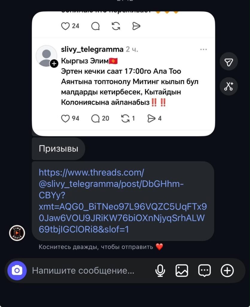 Призывы к незаконному митингу: в Бишкеке задержали владельца Threads-аккаунта — фото 5