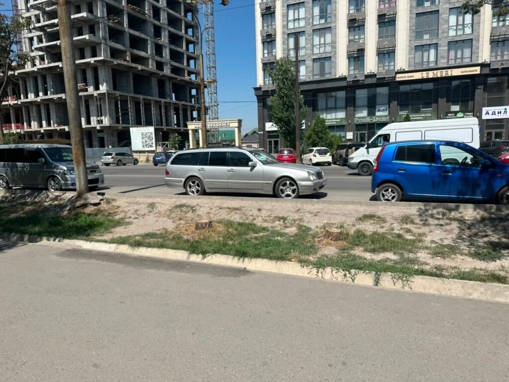 Сүхэ-Батор көчөсүндө бак-дарактар эмнеге куурап жатат: тургундар жана «Бишкекжашылкурулуш» эмне дейт? — контекст события