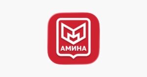 1-сентябрдан тарта «Амина» тиркемеси Москвадагы чет өлкөлүктөр үчүн милдеттүү болот — Новости Кыргызстана