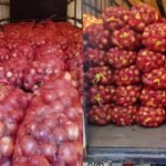 Өзбекстандан келген 24 тоннадан ашык пияз өлкөгө киргизилбей, артка кайтарылды — Новости Кыргызстана
