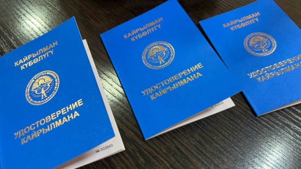 Жыл башынан бери 387 этникалык кыргызга кайрылман статусу берилген — Новости Кыргызстана
