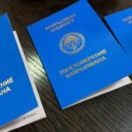 Жыл башынан бери 387 этникалык кыргызга кайрылман статусу берилген — Новости Кыргызстана