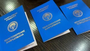 Жыл башынан бери 387 этникалык кыргызга кайрылман статусу берилген — Новости Кыргызстана