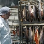 В Чуйской области запустят завод по переработке 3 тысяч тонн рыбы — Новости Кыргызстана
