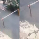 В Бишкеке разыскивают женщину, похитившую золотые серьги у девочки, игравшей во дворе — Новости Кыргызстана