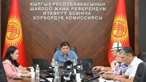 БШК бир нече жергиликтүү кеңештердин депутаттарынын ыйгарым укуктарын токтотту — Новости Кыргызстана