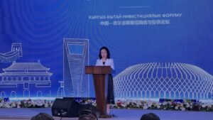 «Эки өлкөнүн экономикалык кызматташтыгы жаңы деңгээлге чыгууда»: Кытайдын элчиси форумда сөз сүйлөдү — Новости Кыргызстана