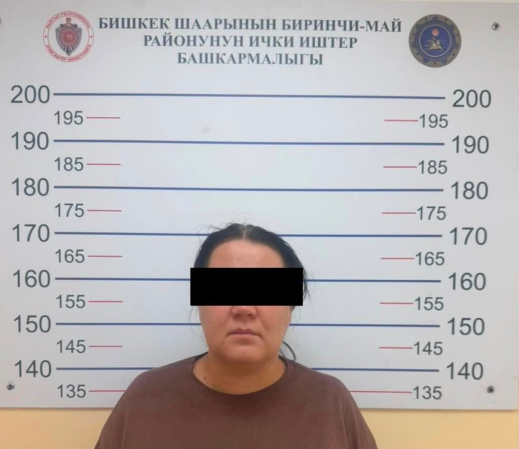 2,1 млн сомдук авиабилет алдамчылыгы: Бишкекте шектүү кармалды — Новости Кыргызстана