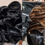 Ош аэропортунда норка терисин мыйзамсыз алып кирүү аракети бөгөттөлдү — Новости Кыргызстана