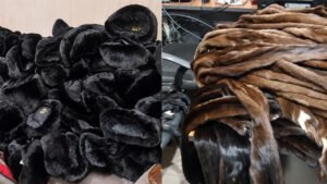 Ош аэропортунда норка терисин мыйзамсыз алып кирүү аракети бөгөттөлдү — Новости Кыргызстана