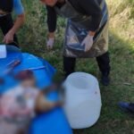 В Нарынском заповеднике изучают состояние серых сурков — Новости Кыргызстана