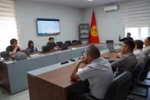 Жер казынасын пайдалануу лицензиялары онлайн форматка өттү: Министрлик электрондук аукциондорду ишке киргизди — Новости Кыргызстана