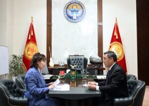 Садыр Жапаров акыйкатчыга күч түзүмдөрү тарабынан кыйноолор боюнча арыздарды текшерүүнү тапшырды — Новости Кыргызстана