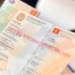 Временные национальные водительские права намерены ввести в Кыргызстане — Новости Кыргызстана