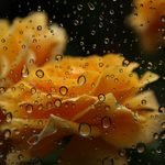 4-сентябрь: көпчүлүк аймактарда жаан жаап, күн күркүрөйт — Новости Кыргызстана