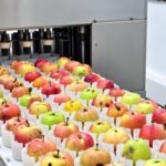 Баткенде мөмө-жемишти кайра иштетүүчү муниципалдык цех ачылды — Новости Кыргызстана