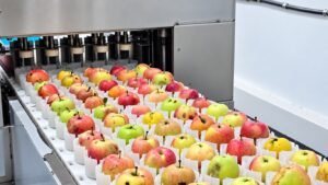 Баткенде мөмө-жемишти кайра иштетүүчү муниципалдык цех ачылды — Новости Кыргызстана