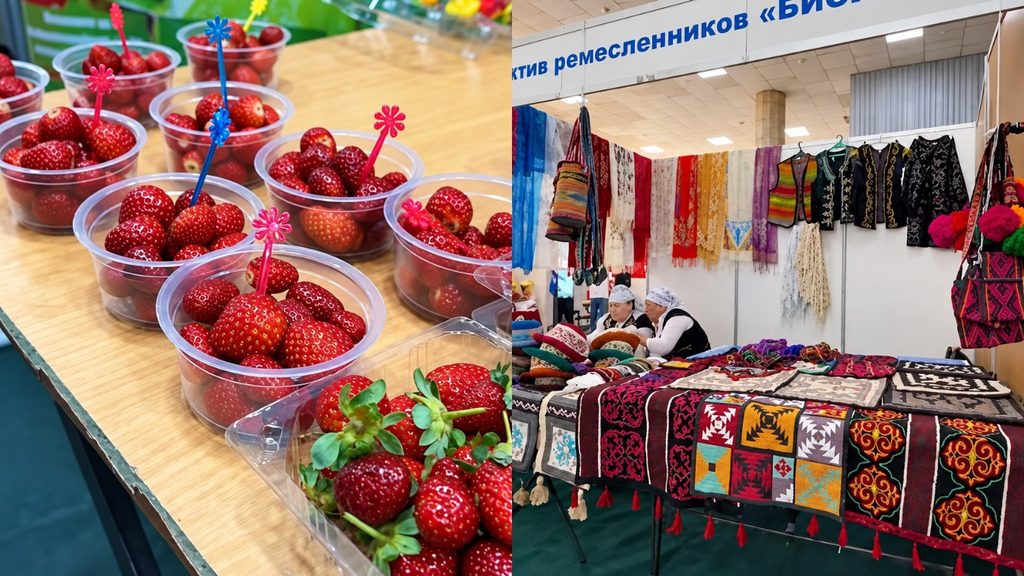 В Оше проходит ярмарка местных фермеров и производителей «Түштүк Экспо-2026» — Новости Кыргызстана