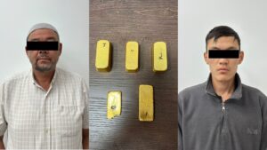 Чүйдө 40,5 млн сомдук алтынды аткезчилик жол менен алып чыгууга аракет кылган шектүүлөр кармалды — Новости Кыргызстана