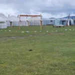 УКМК жайыт акысын чогултууда 36 млн сомдук каржылык мыйзам бузууларды аныктады — Новости Кыргызстана