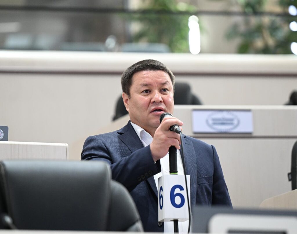 Дагы бир депутат чет өлкөлүктөр үчүн суррогат энеликке тыюу салууну сунуштады