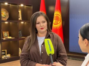 Курултайлардан санариптик парламентке чейин — Наталья Никитенко КР ЖКнын трансформациясы тууралуу — Новости Кыргызстана