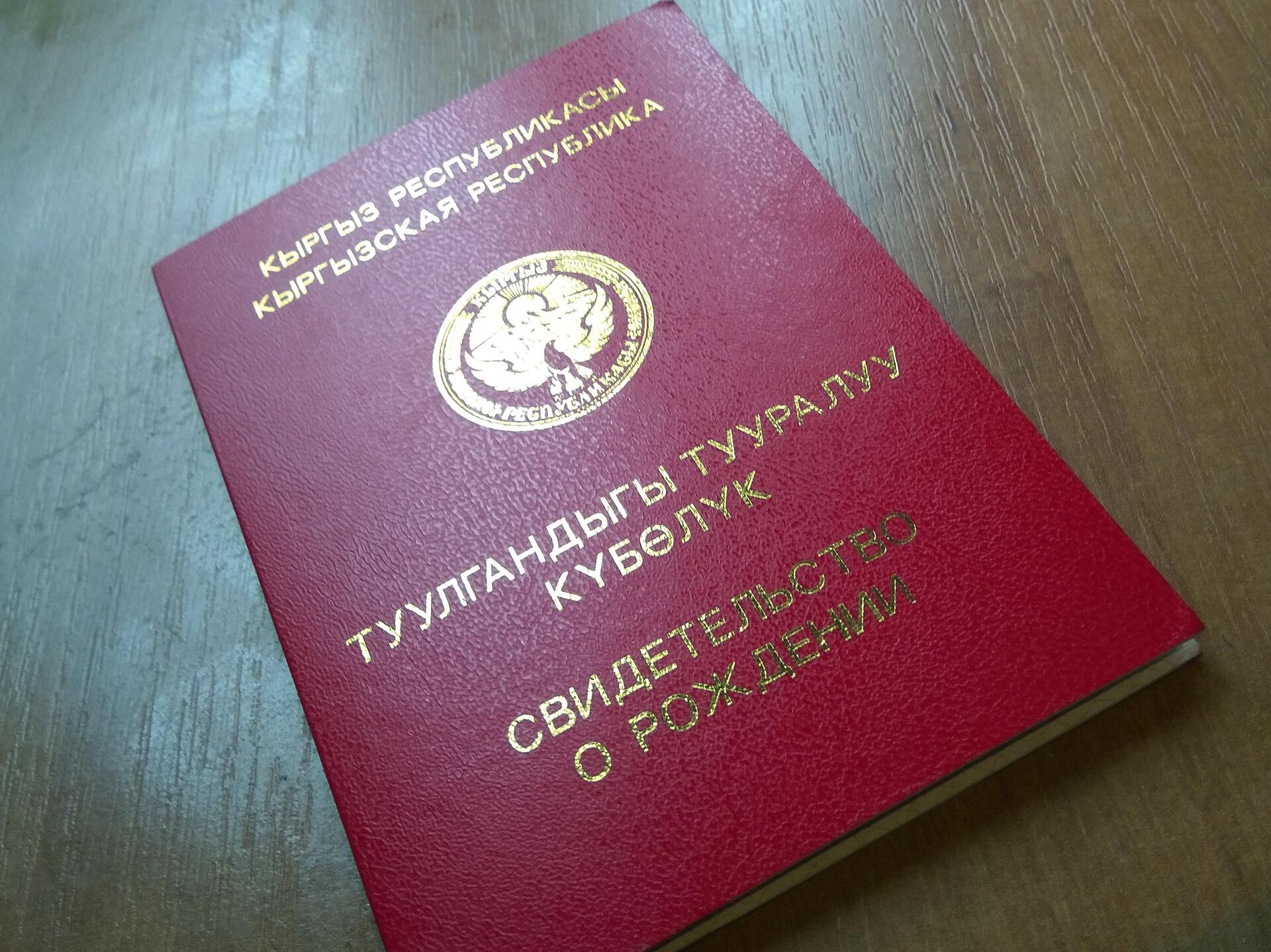 Чет өлкөдө берилген туулгандыгы тууралуу күбөлүк «Санарип документтер» бөлүмүндө пайда болот — Новости Кыргызстана