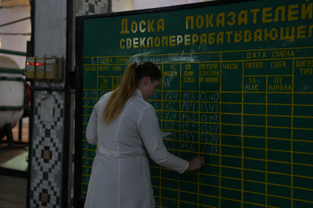 Таттуу түшүм: Кыргызстанда 650 миң тонна кызылча жыйноо пландалууда — фото 8