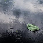 12-октябрь: күндүз Кыргызстандын басымдуу бөлүгүндө жаан жаашы күтүлөт — Новости Кыргызстана