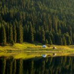 Кыргызстанда жыл сайын 1 миллионго жакын көчөт отургузулат — Новости Кыргызстана