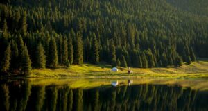Кыргызстанда жыл сайын 1 миллионго жакын көчөт отургузулат — Новости Кыргызстана