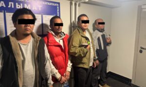 Кыргызстанга синтетикалык баңгизат ташып келүүгө шектелип, жети жаран кармалды — Новости Кыргызстана