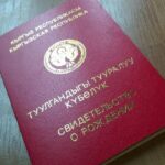 Чет өлкөдө берилген туулгандыгы тууралуу күбөлүк «Санарип документтер» бөлүмүндө пайда болот — Новости Кыргызстана