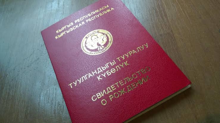 Чет өлкөдө берилген туулгандыгы тууралуу күбөлүк «Санарип документтер» бөлүмүндө пайда болот