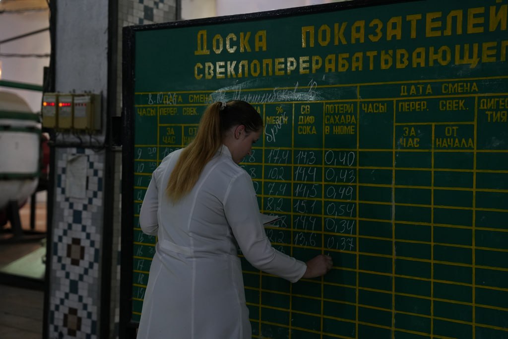Таттуу түшүм: Кыргызстанда 650 миң тонна кызылча жыйноо пландалууда — фото 7
