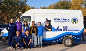 У центра помощи бездомным животным «Кумайык» появилась мобильная ветклиника — Новости Кыргызстана